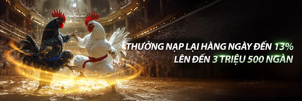 Giao diện đăng nhập vf555 nhà cái an toàn và hiện đại