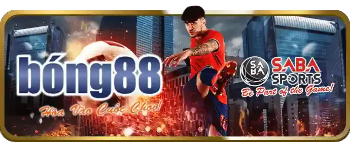 Chiến thuật Casino vf555